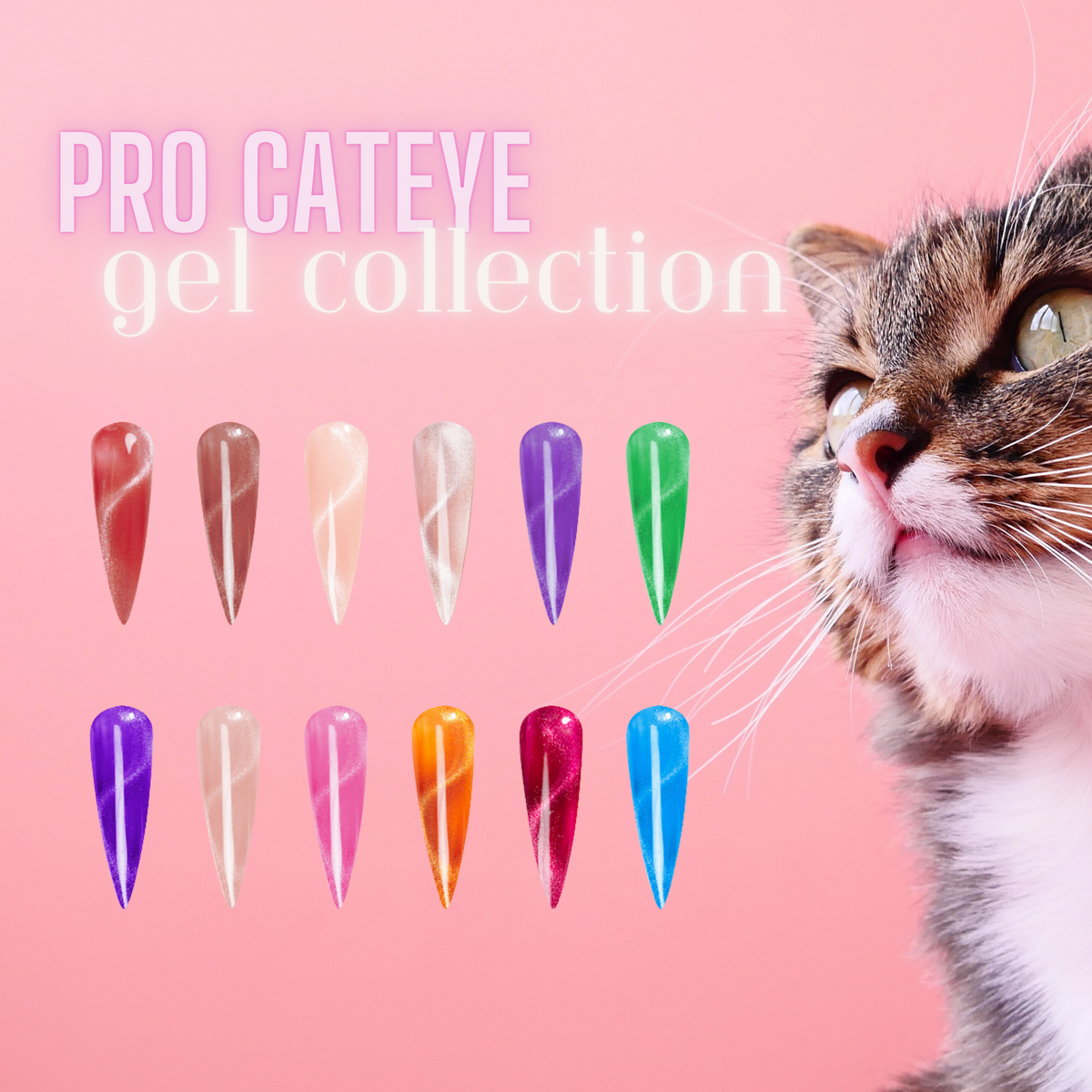 フェイスジェル・ゲル YOU PRO CATEYE GEL COLLECTION 12 COLORS – HONEY'S NAIL SECRET
