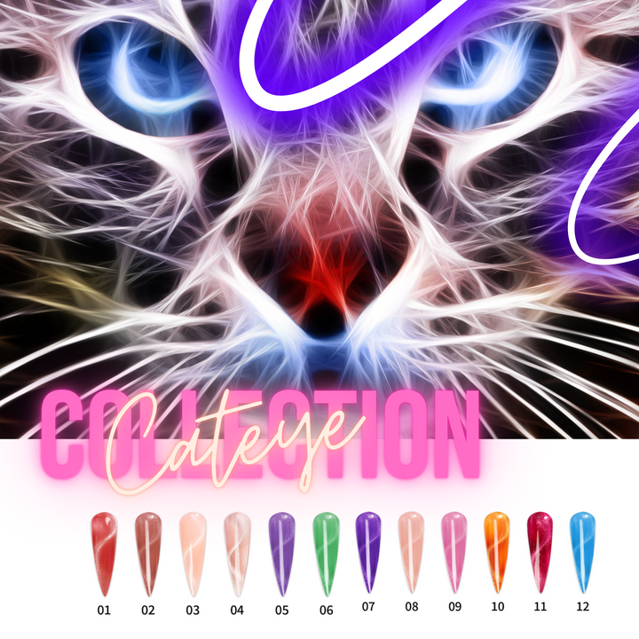 PRO CATEYE GEL COLLECTION 12 COLORS