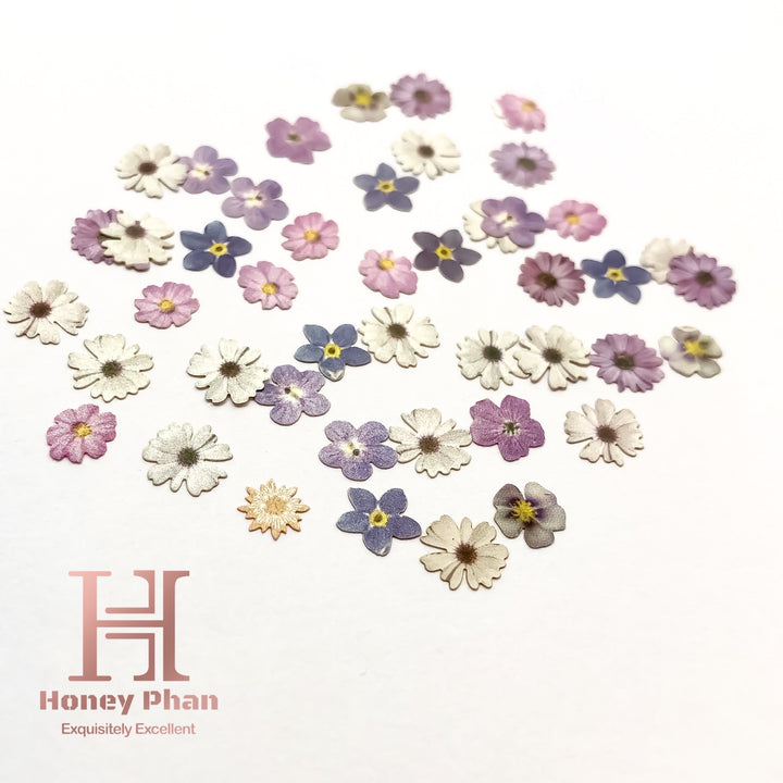 Flower Set 6 Designs